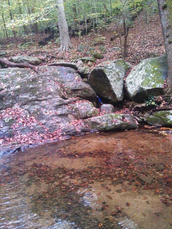 If you look carefully, there is a blue spot in the crack in the rock. Damn rtr tires slipped.. now I've got to swim over and get it out.