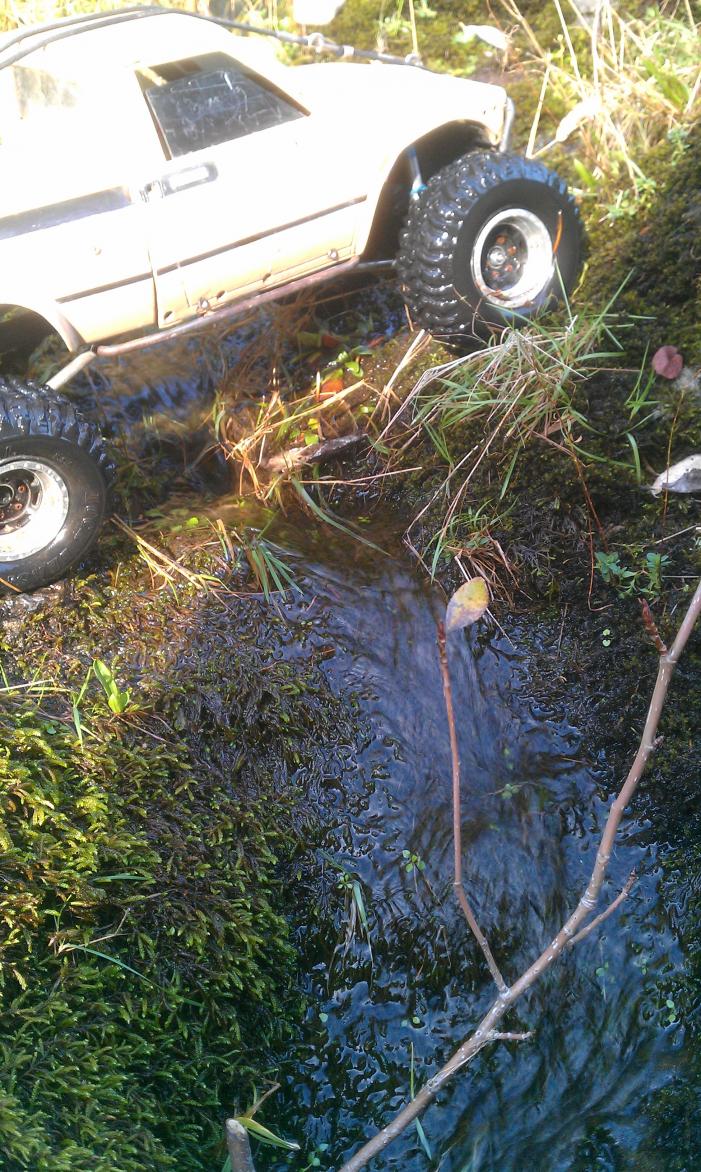 Jones Creek, Tillamook, OR. Creek crossing.