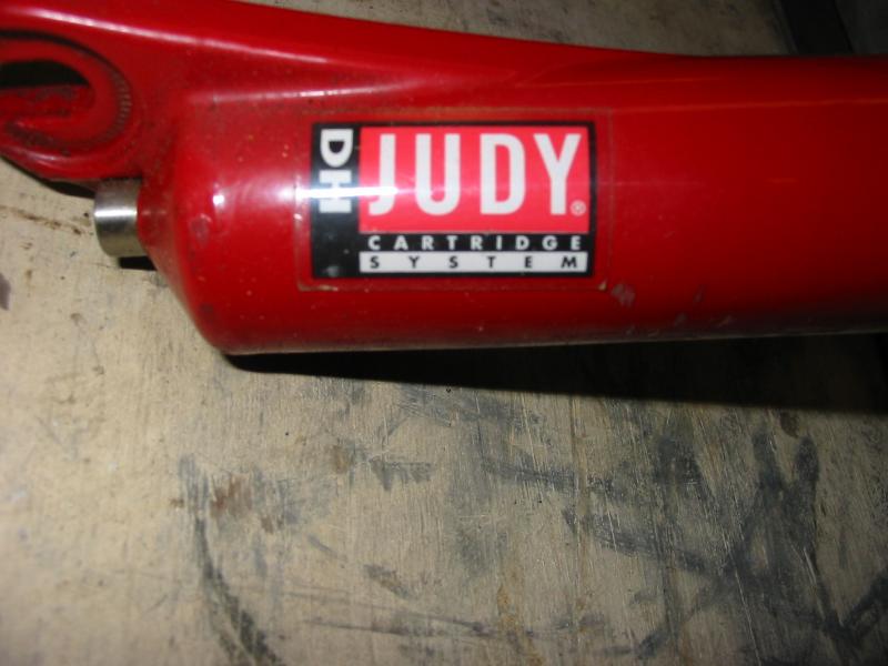 Judy DH fork 003