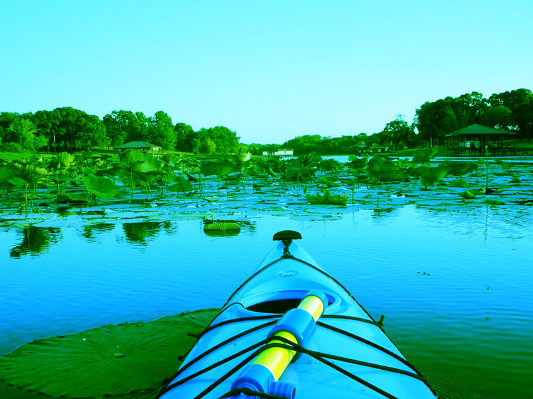 kayak