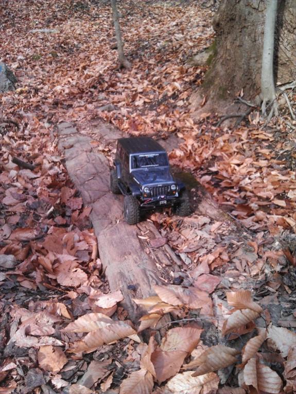 Little log bridge.