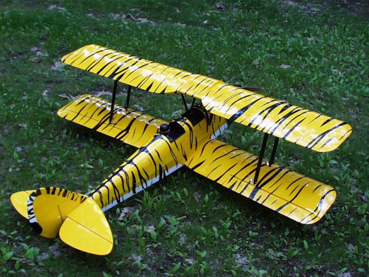 My Tiger Moth Bi Plane I just had to!