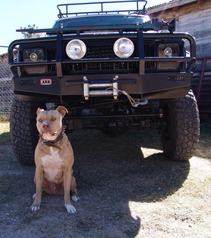 my xj and one of my dogs, baller