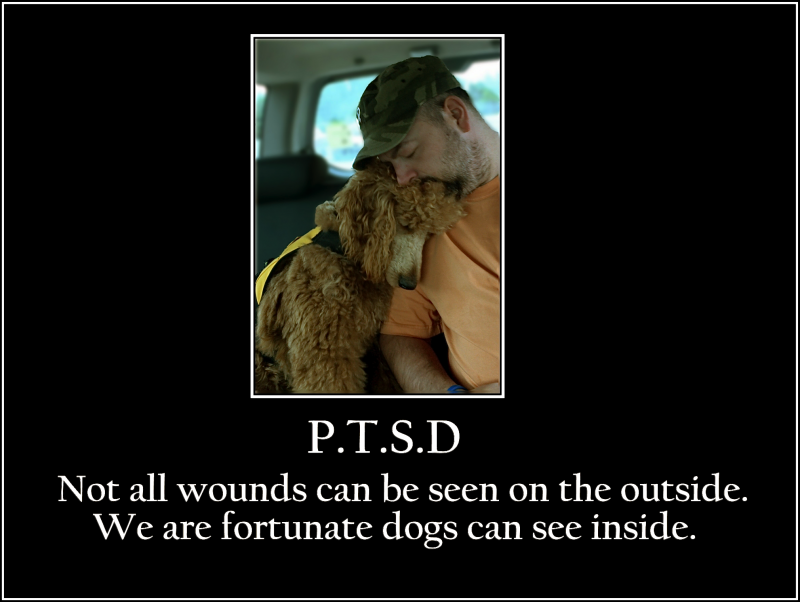 Our new poster for TMA Service Dogs.....was having a major meltdown and Ben comforted me the rest of the way home