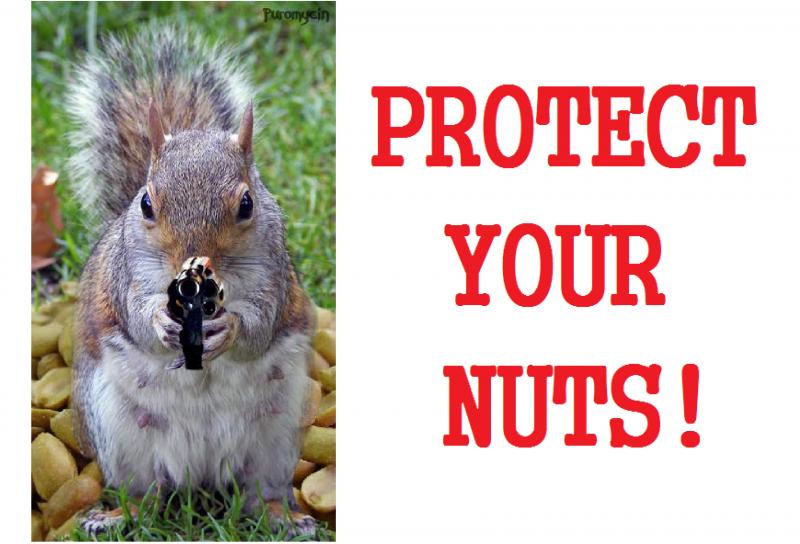 Protect Nuts