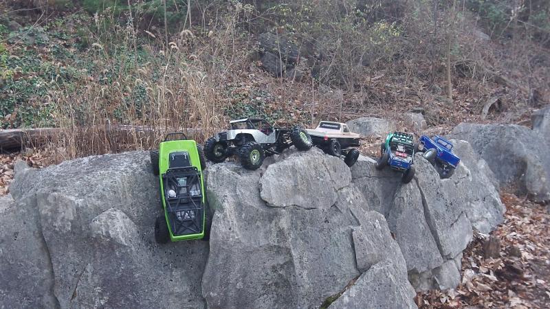 rc crawlin 050