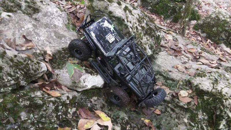 rc crawlin 054