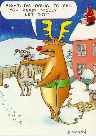 Reindeer humor with dog bite!