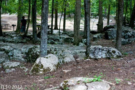 Rickwood Caverns State Park
Hayden, AL
Not the best pic, there is better rock here. need to get some better shots.