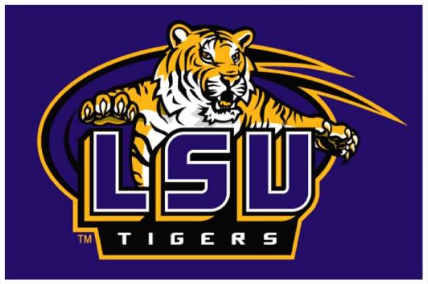 Rug Image LSU Tigers jpg 53163058