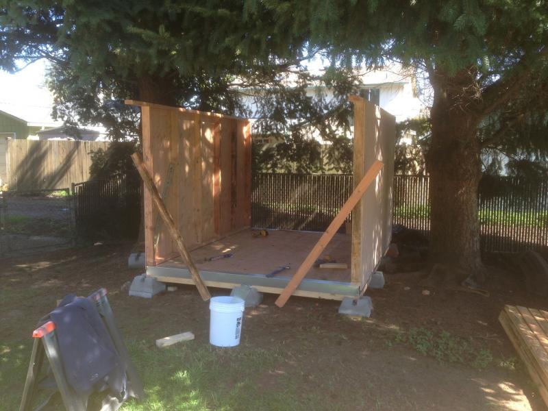 shed being built 1