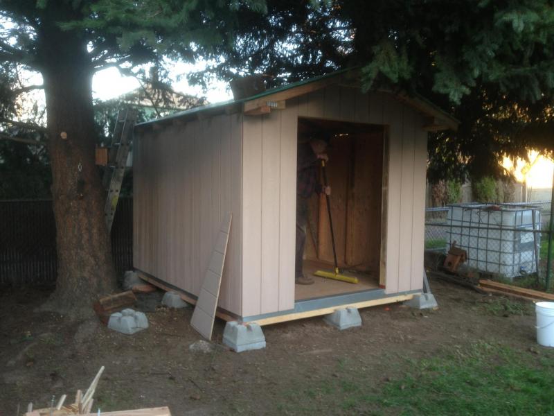 shed being built 2