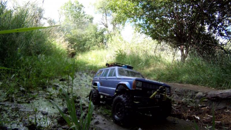 Snapshot taken while filming in Two Moon Park, in Billings, MT. My SCX10 Jeep Cherokee doing a little playing in the swamp.