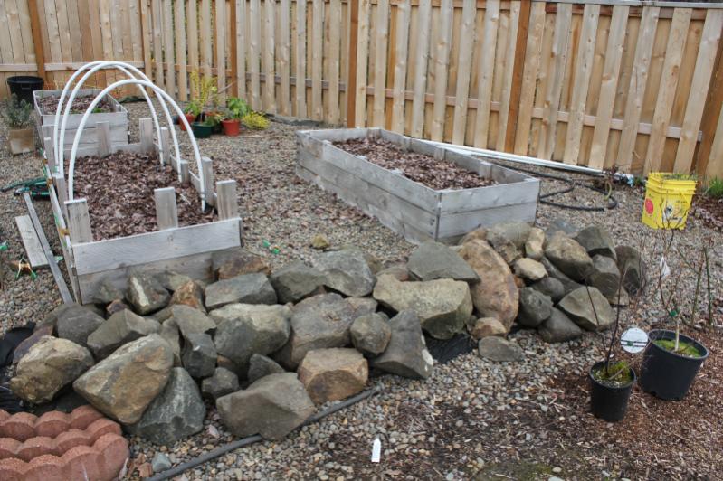 The backyard rock pile.  Was just a pile of rocks we moved from one part of the yard to here.  Only modification was to scoot the rocks closer togethe