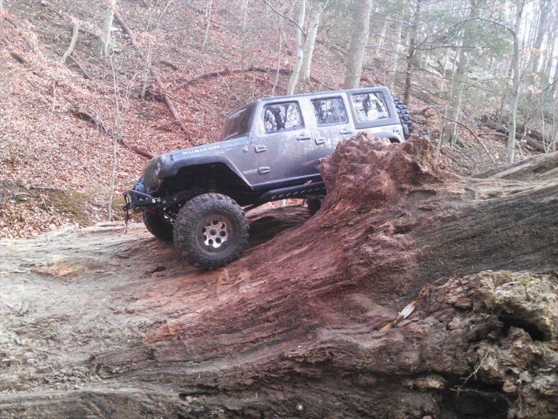 This downed tree made an awesome obstacle. Must've played here for an hour.