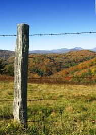 Wood-Fence-Posts-Wood-Fencing-Benefits-1.jpg