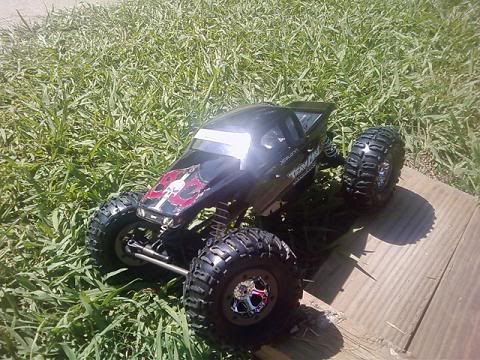 losi2.jpg