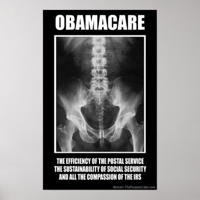 obamacare_screwed_protest_poster-p228726019772466231tdcp_400.jpg