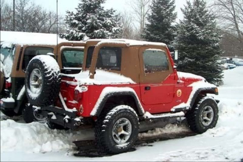 Jeeps2003.jpg