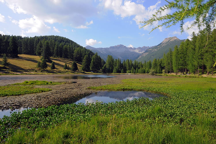 2076124-le-parc-naturel-regional-du-queyras.jpg