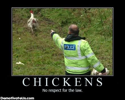 chickens-no-respect-for-the-law-demotivational-poster.jpg