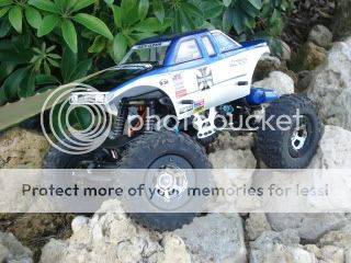 LosiMiniRockCrawler007-1.jpg