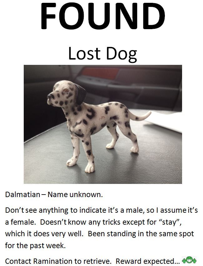 Found-LostDog.jpg