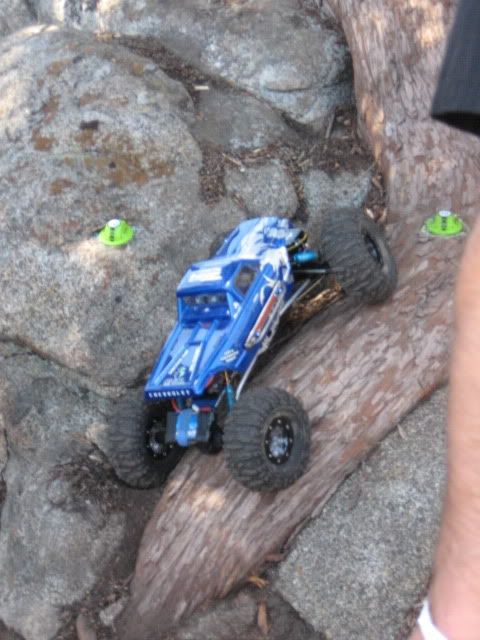IMG_5650.jpg